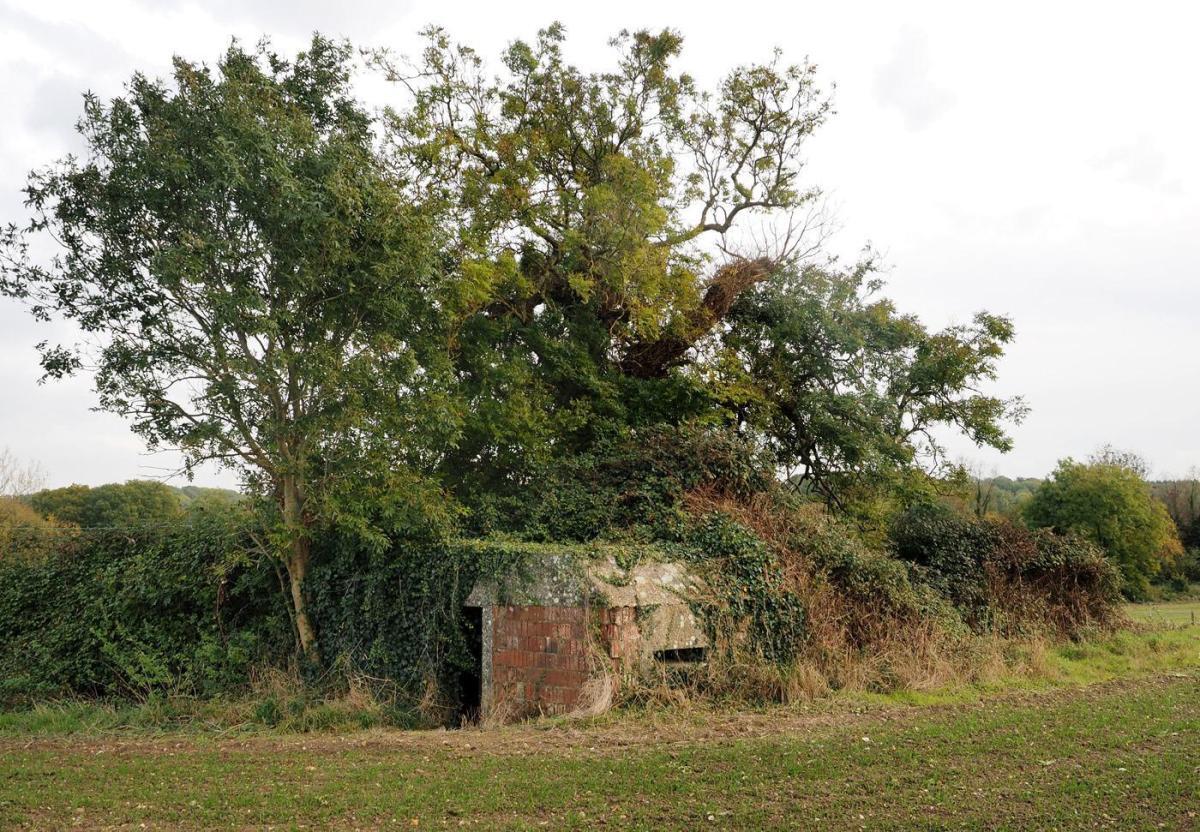 WW2 Pillbox hidden under a tree