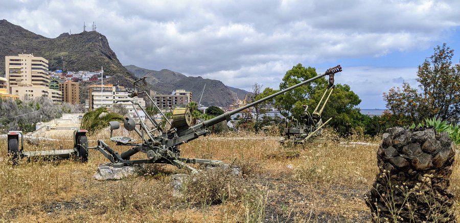 A pair of rusty grey Anti Aircraft guns on the sun-burned grass on top of the walls