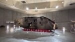 Rusty brown wreckage of a WW1 tank, set in a concrete display hall. A row of red wreaths are laid in front of it.