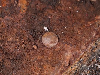 A small corroded brown coin on a rusty surface