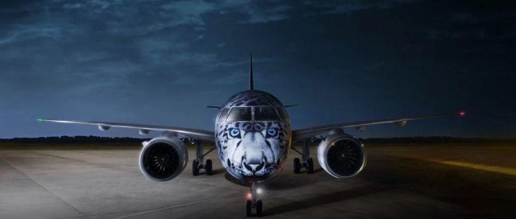 The face of a snow leopard on the nose of an airliner, facing the camera, on the tramac, in dark evening light