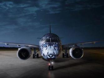 The face of a snow leopard on the nose of an airliner, facing the camera, on the tramac, in dark evening light