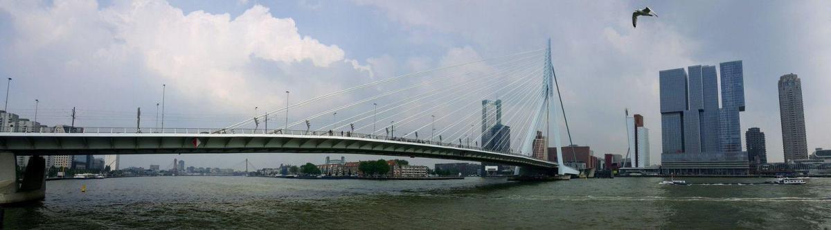 Panoramic shot of the Erasmus Bridge