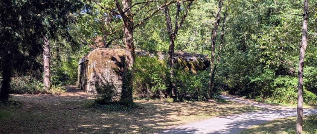 A concrete bunker sits in a sunny wood