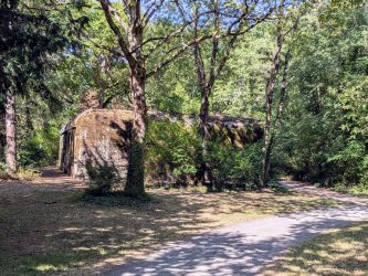 A concrete bunker sits in a sunny wood