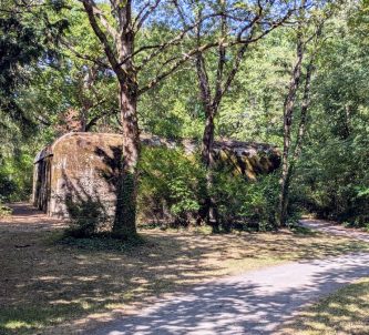 A concrete bunker sits in a sunny wood