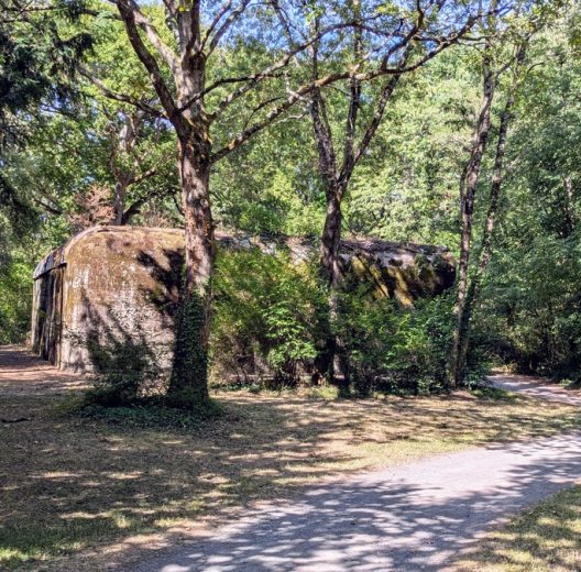 A concrete bunker sits in a sunny wood