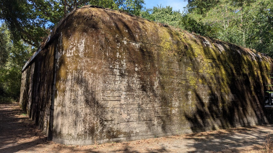 Large concrete bunker in the woods