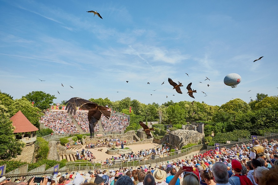 A cloud of birds circle above a large audience in an amphitheatre