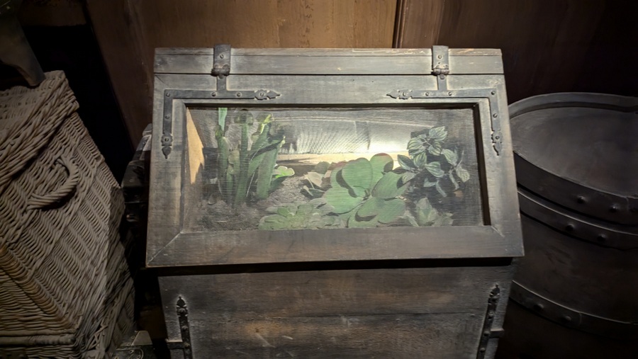 Plants inside a small wooden coldframe