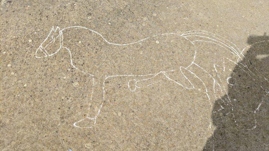 Drawing of a horse with an erect penis, scratched on concrete