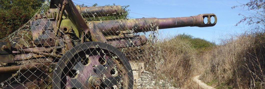 Rusty howitzer among bushes with a camouflage net