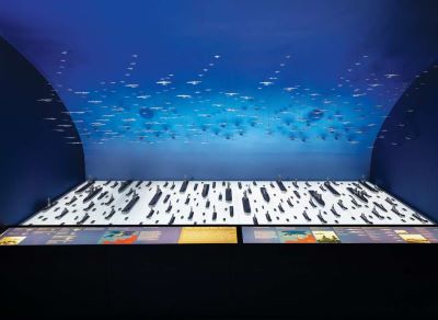 3D visual display case of ships and aircraft drawing closer to the D-Day landing beaches