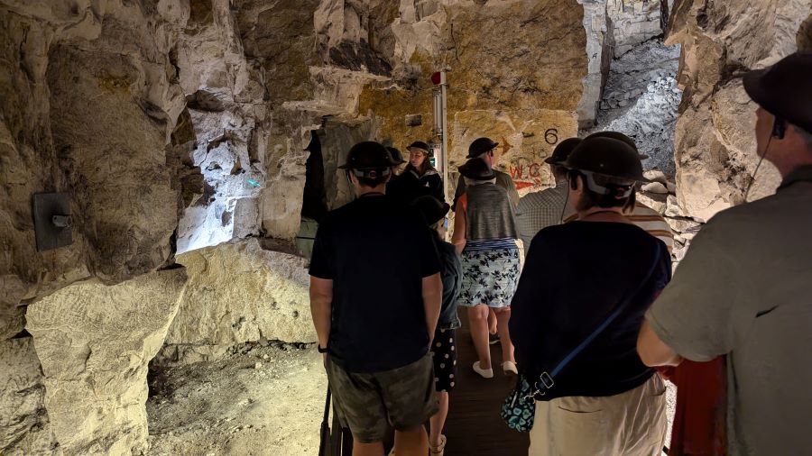 A tour group walk through the high tunnels